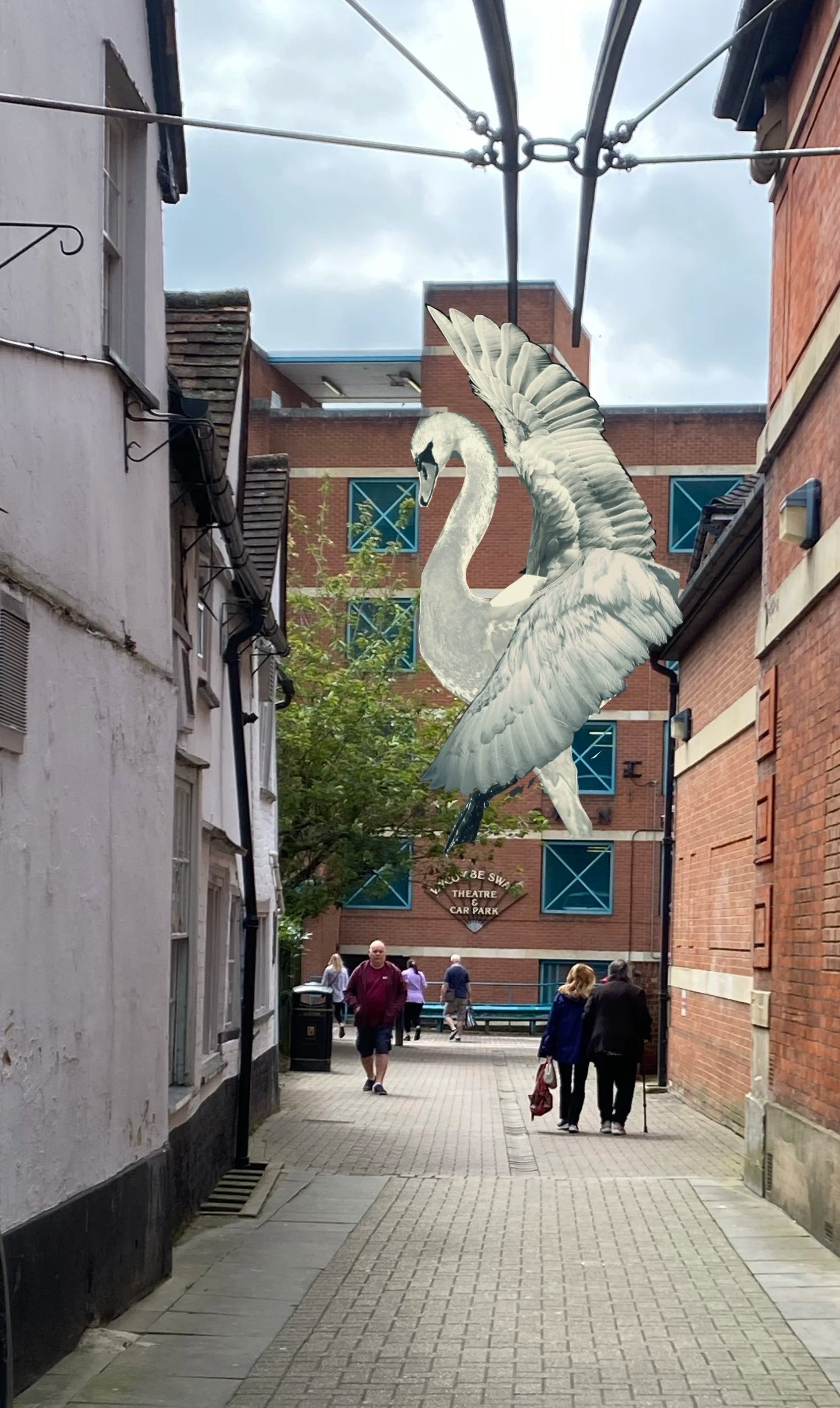 Black and White Collage