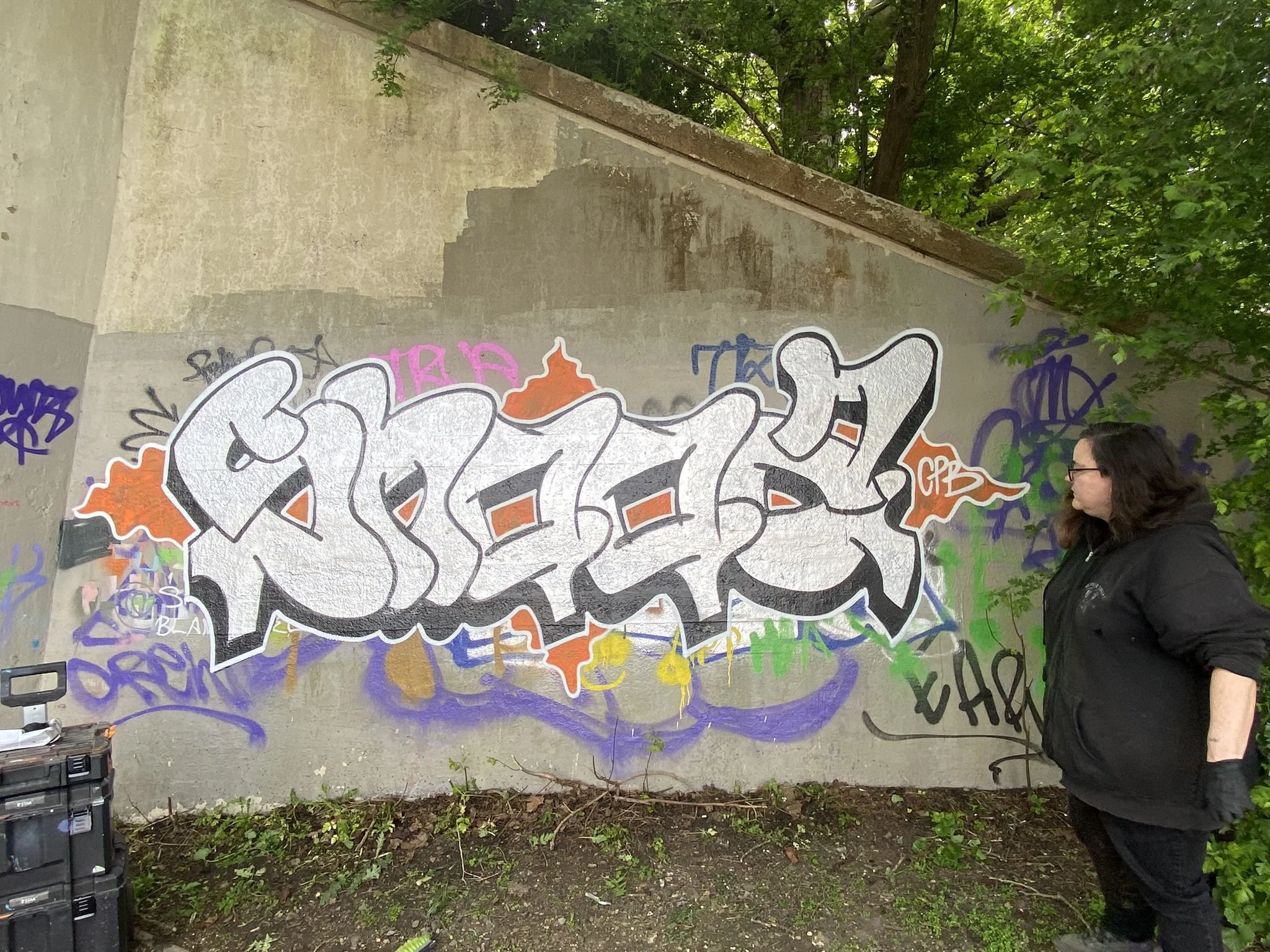 Tagged Entrance Wall to Habitat Mural (Stage 2)