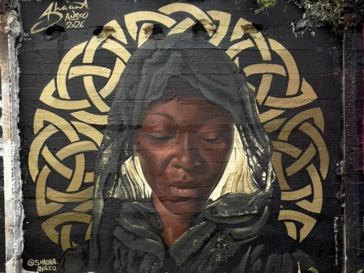 Infinite (2026) - For Waterford Walls Festival