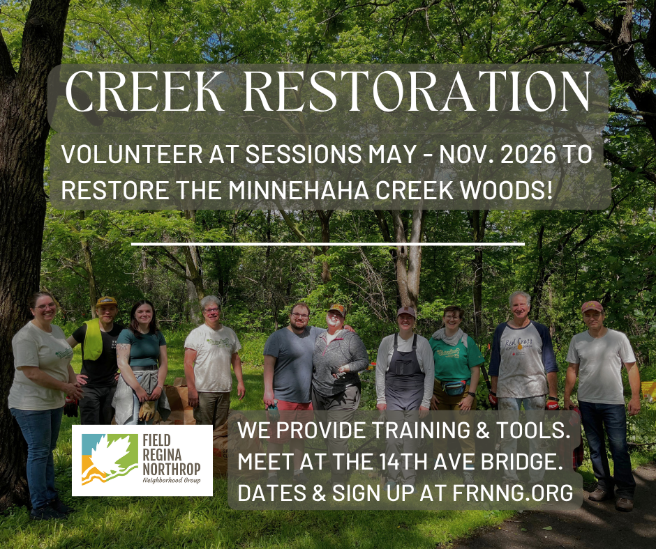 Creek Restoration Volunteer Session 