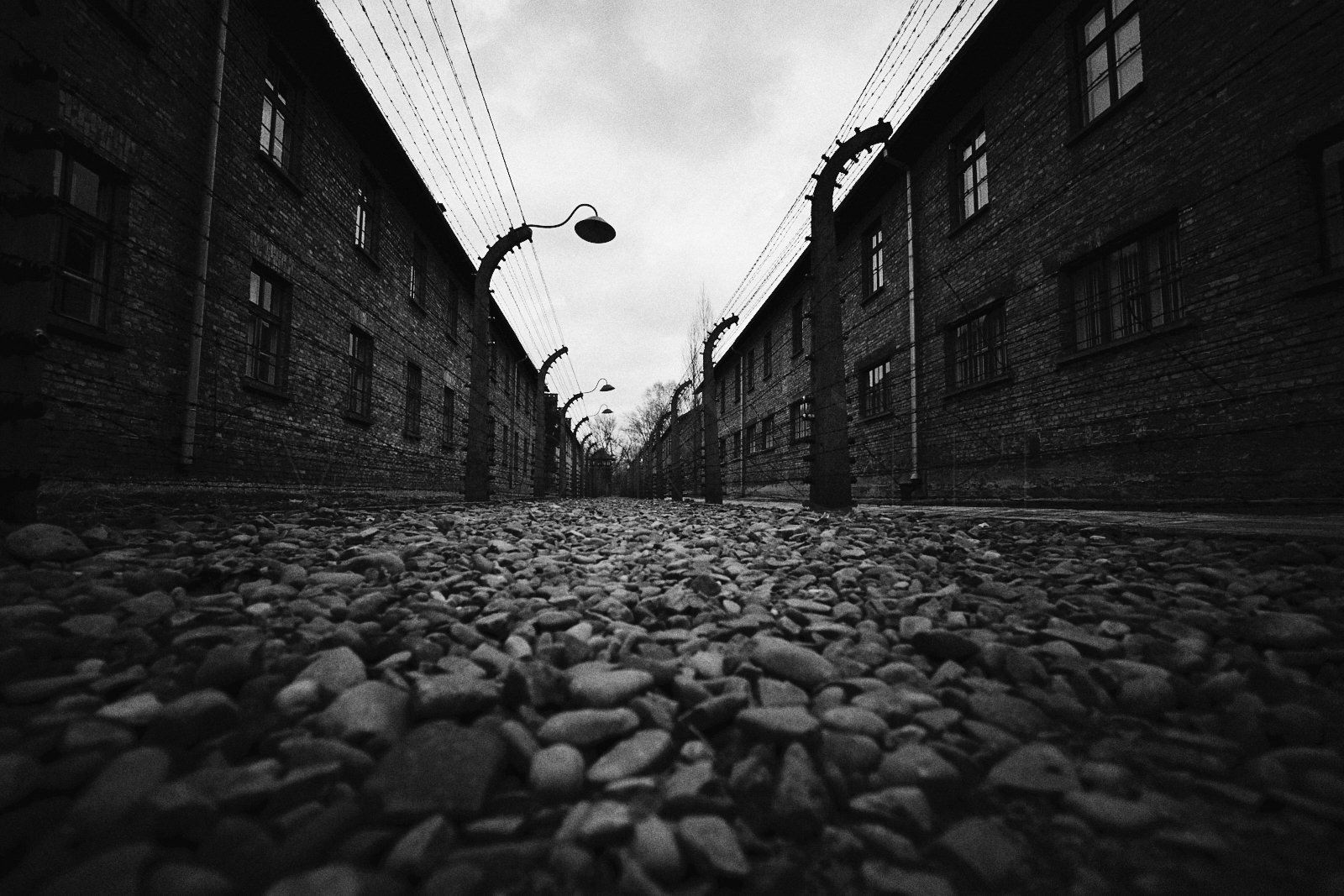 Auschwitz_Sascha_van_der_Werf 4.jpg