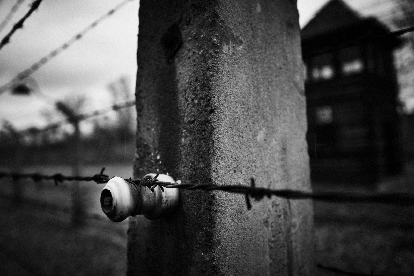 Auschwitz_Sascha_van_der_Werf 8.jpg