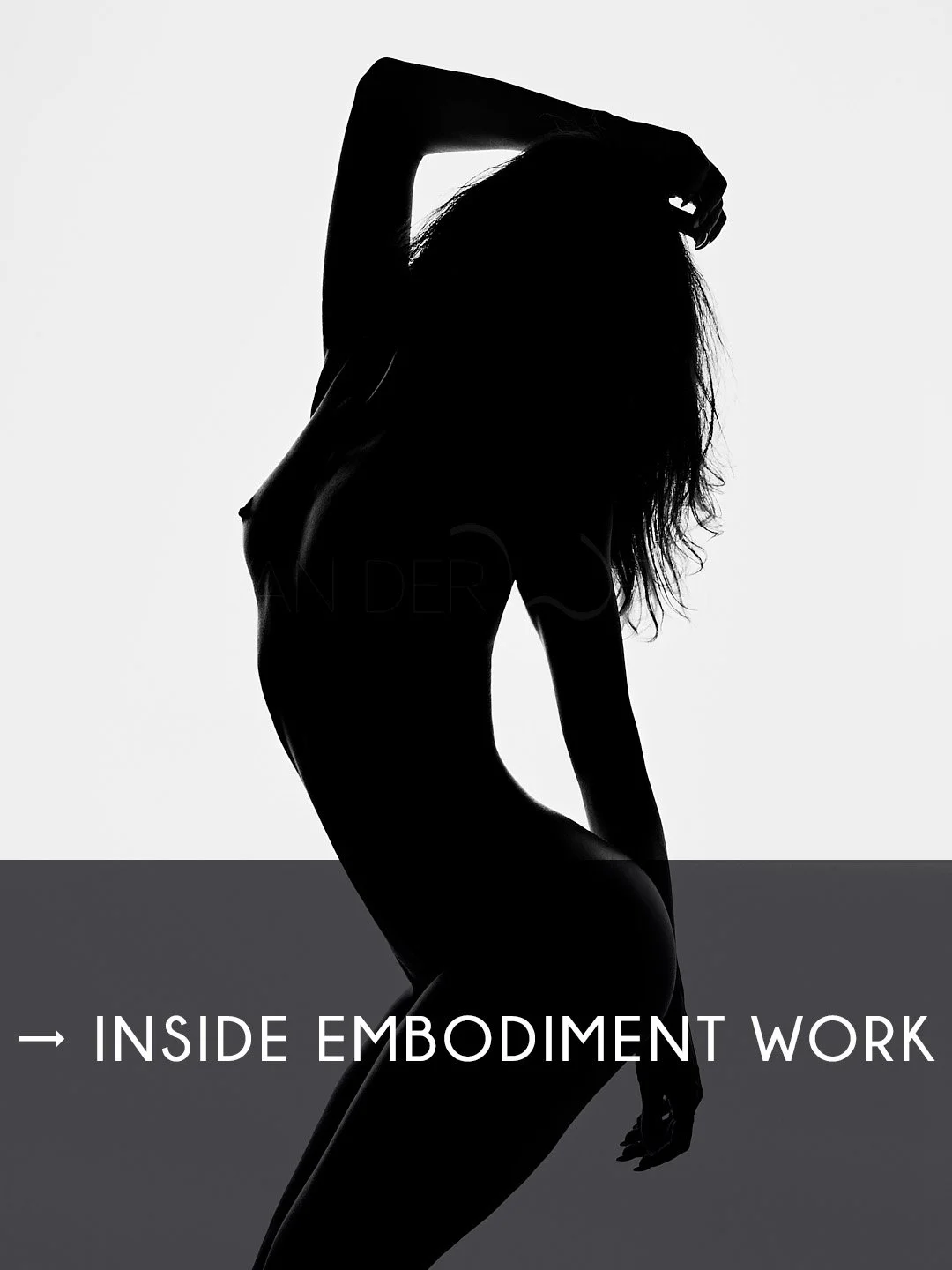 inside embodyment.jpg