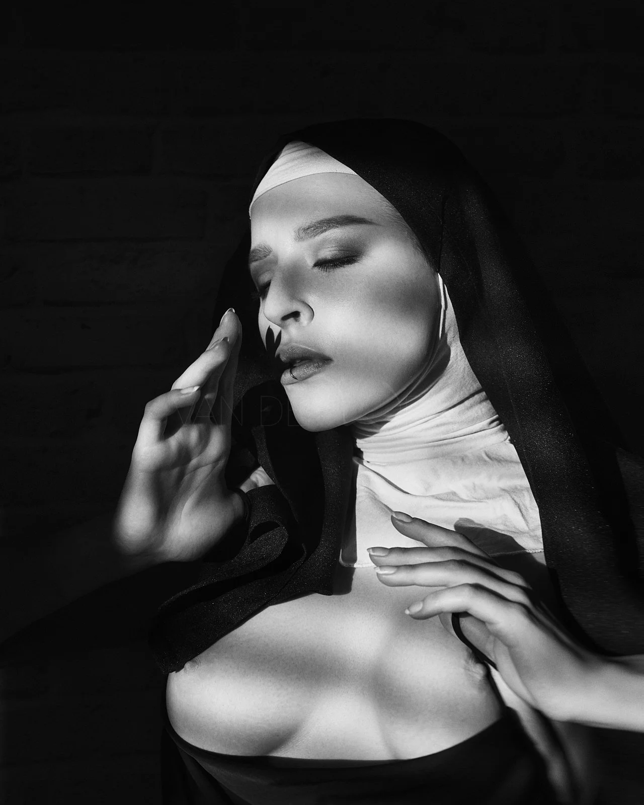 Akt Fotografie Studio Wien Sascha van der Werf13.jpg
