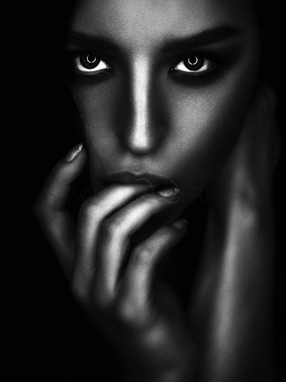 Akt Fotografie Studio Wien Sascha van der Werf19.jpg