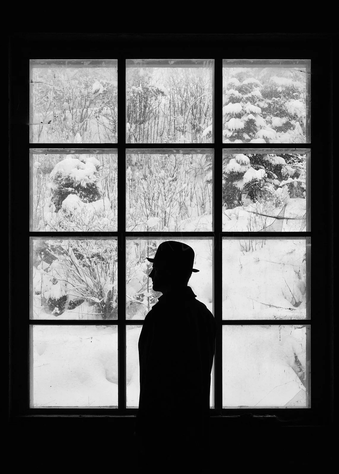 Silhouette of a man in a hat standing inside by a window with snowy landscape outside, featuring snow-covered bushes and trees.
