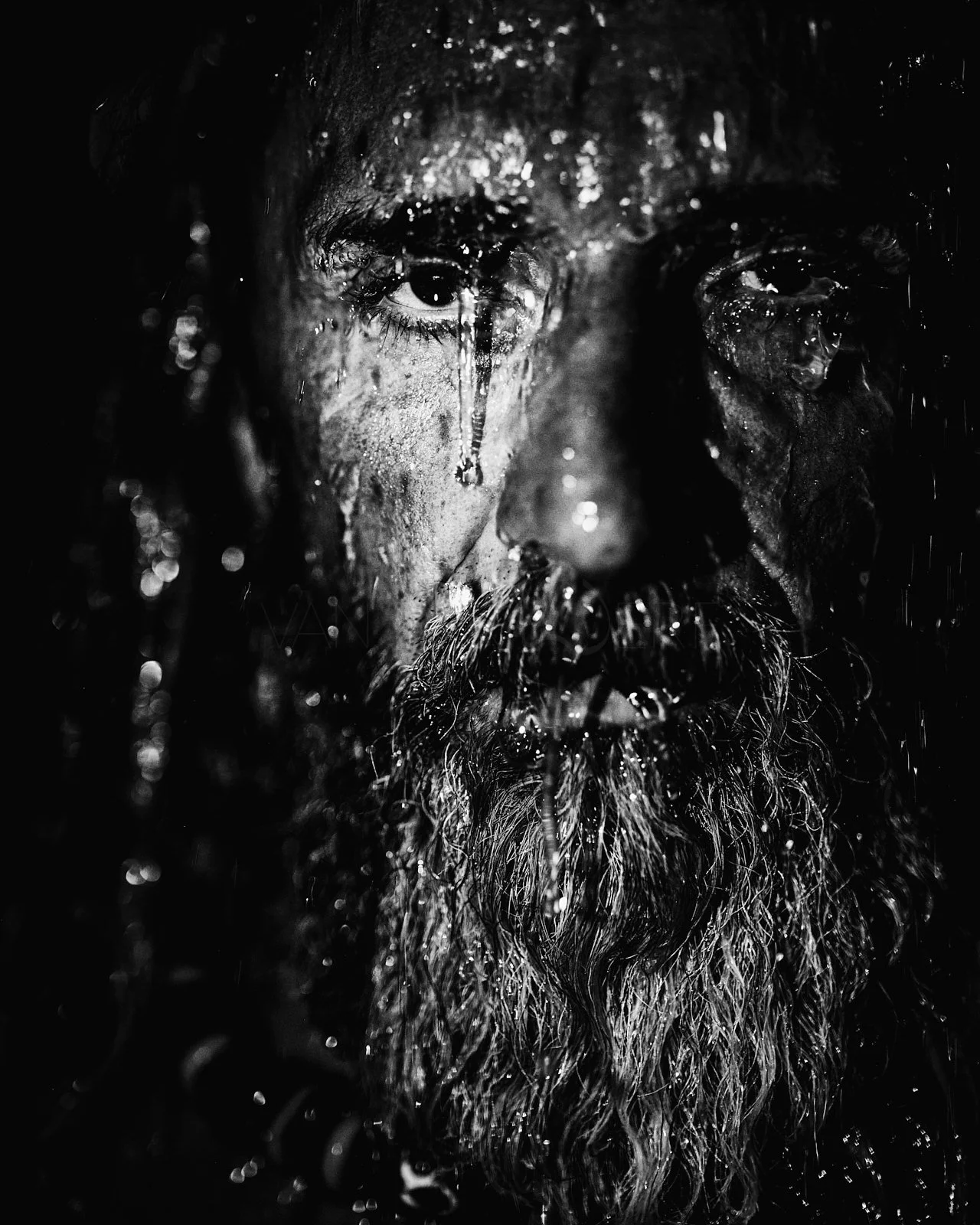 Portrait Fotografie Wien Sascha van der Werf107.jpg