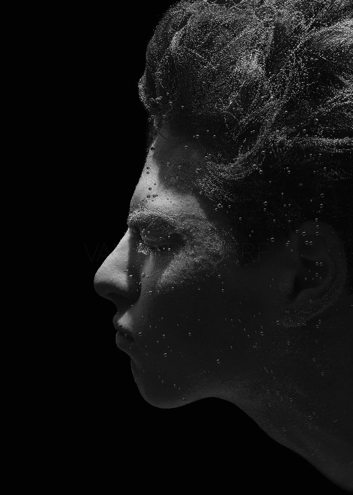 Portrait Fotografie Studio Wien Sascha van der Werf23.jpg