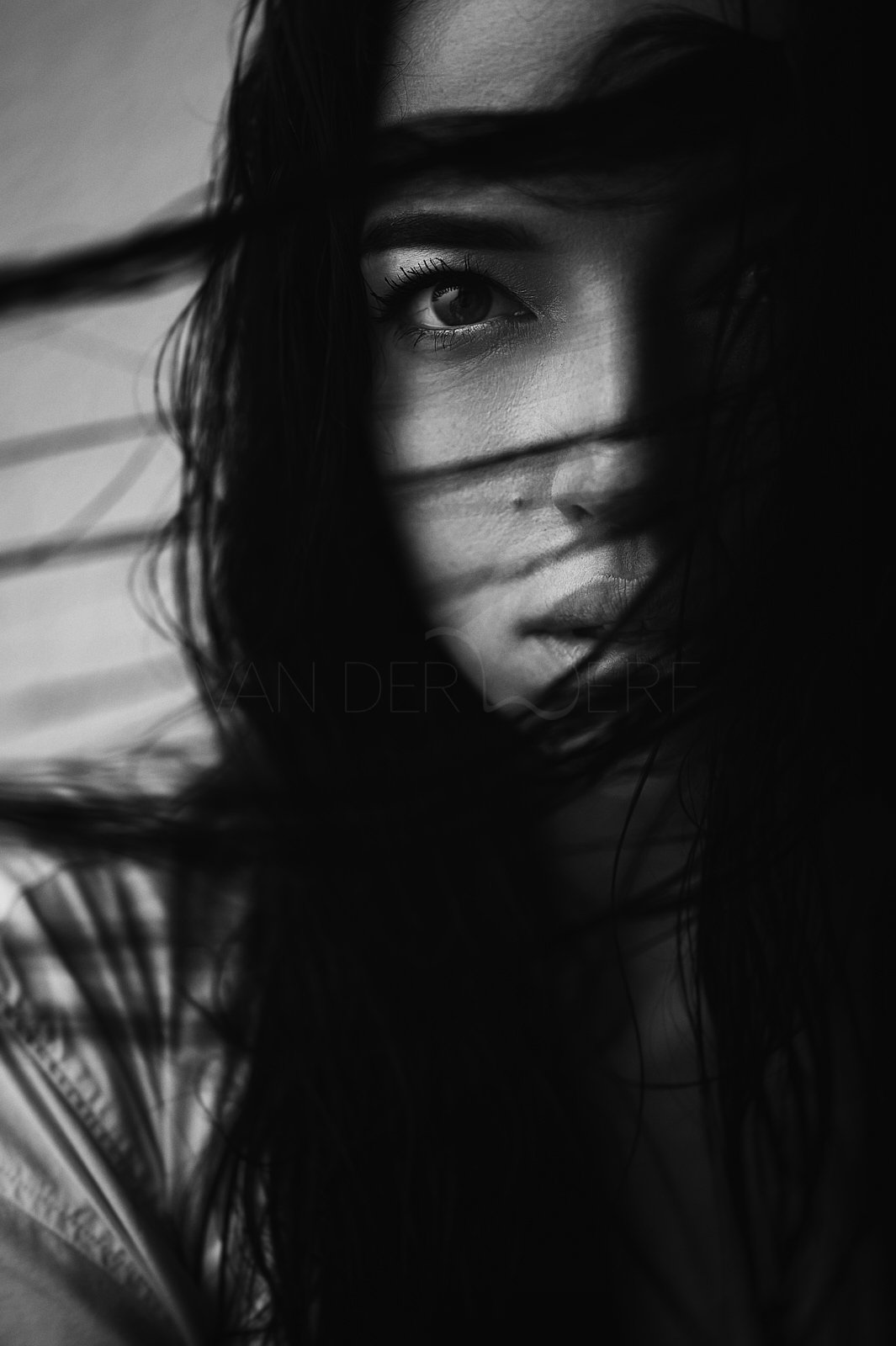 Portrait Fotografie Studio Wien Sascha van der Werf24.jpg