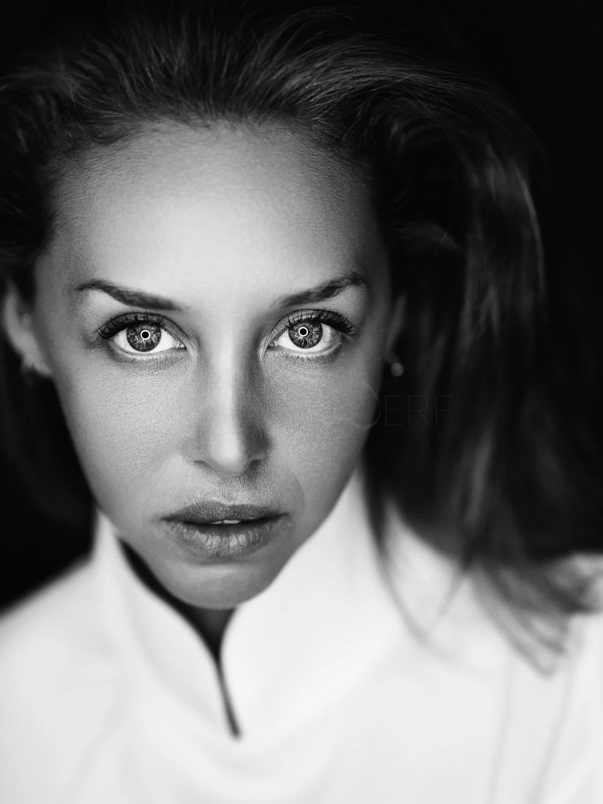 Portrait_Studio_SaschavanderWerf_2509_19.jpg