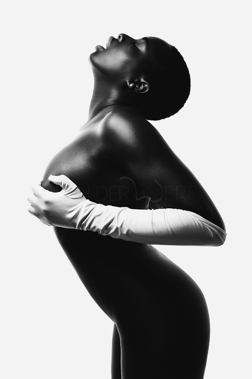 NudeArt_SaschavanderWerf_ 41.jpg