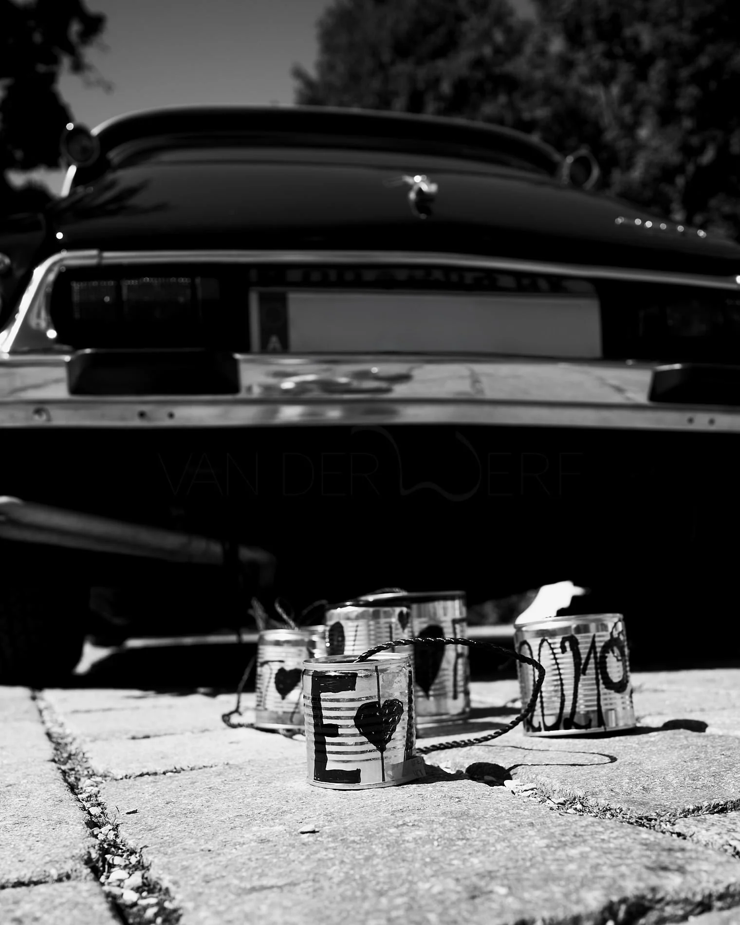 WeddinDocumentary_SaschavanderWerf_bw_486.jpg