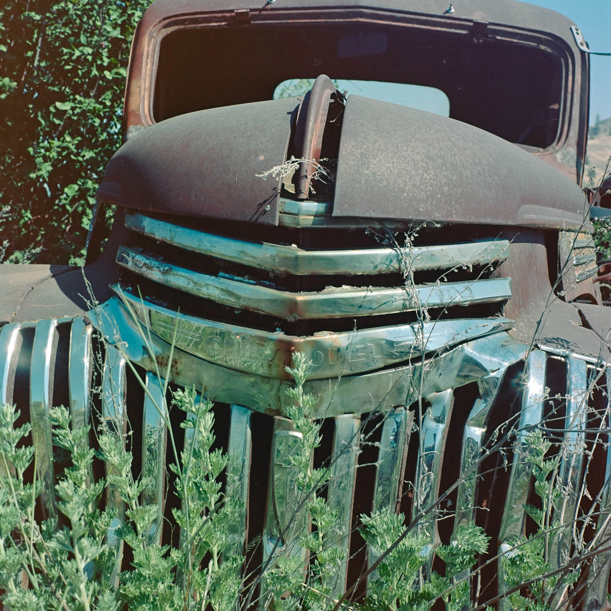 Chrome up front
