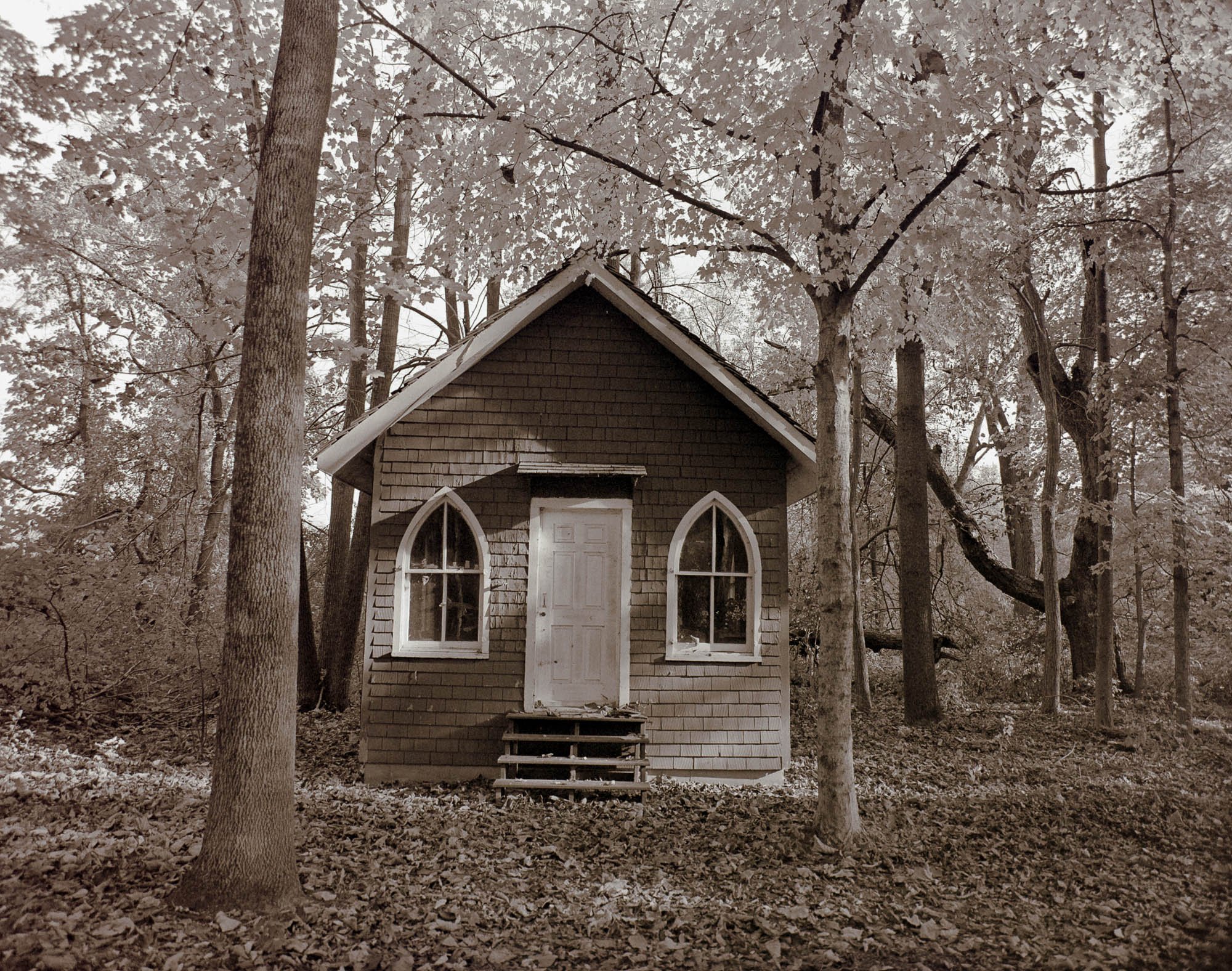 Tiny house in the woods