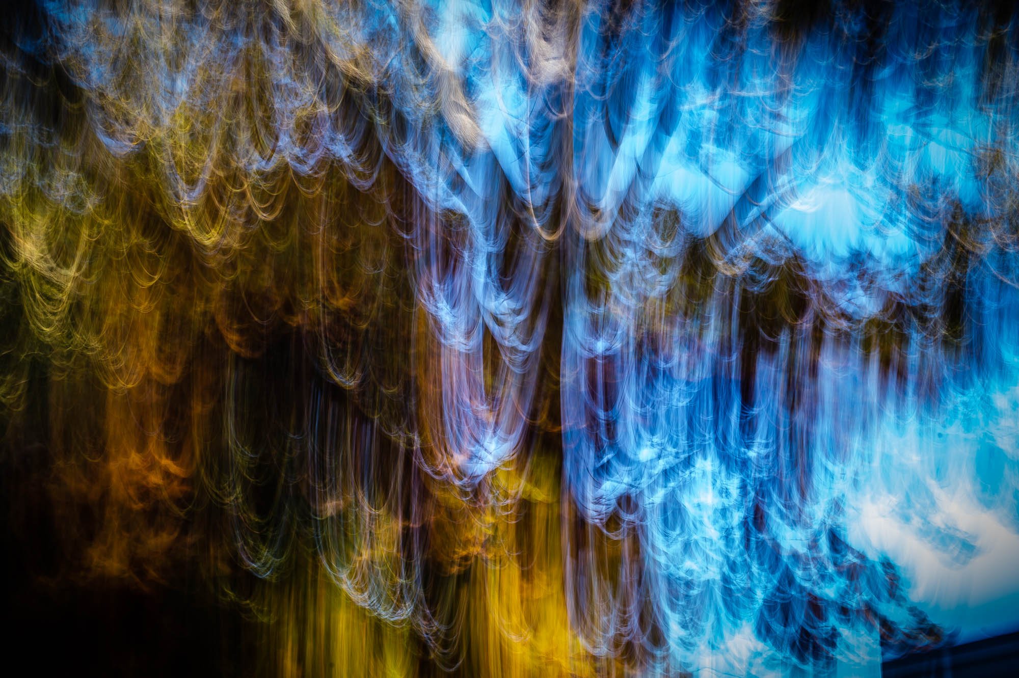Fall in motion