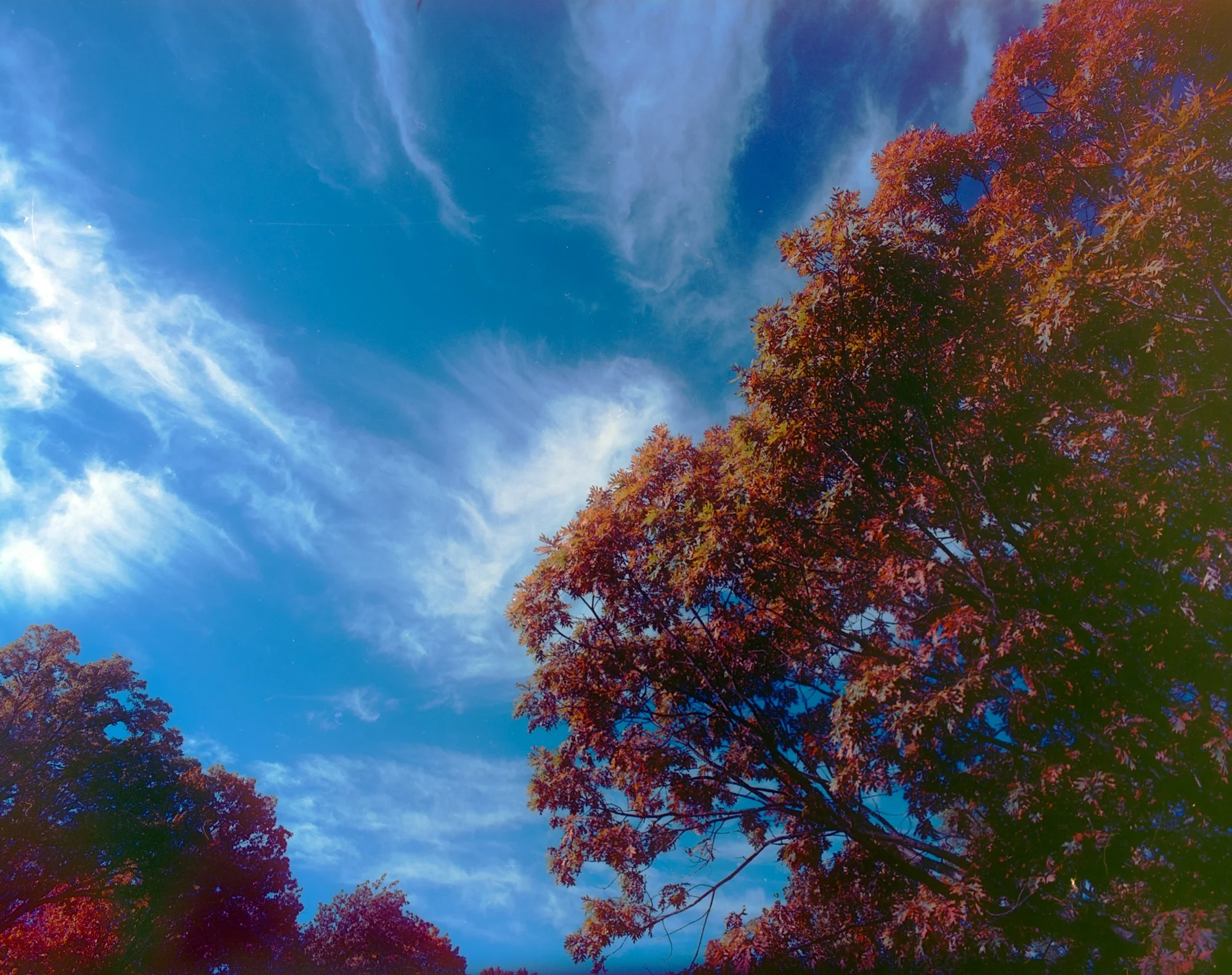 Roll 82 Pentax6x7-964.jpg