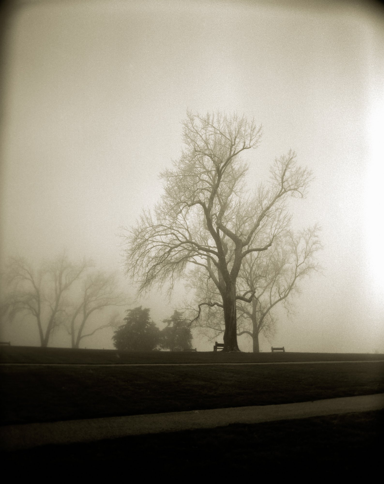 Roll 53 6x7 landscape-487.jpg