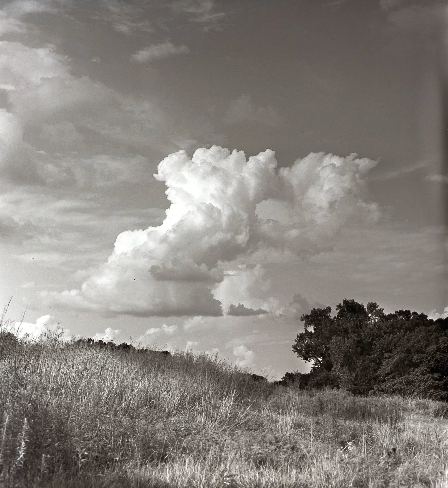 Roll 41 Pentax6x7-257.jpg