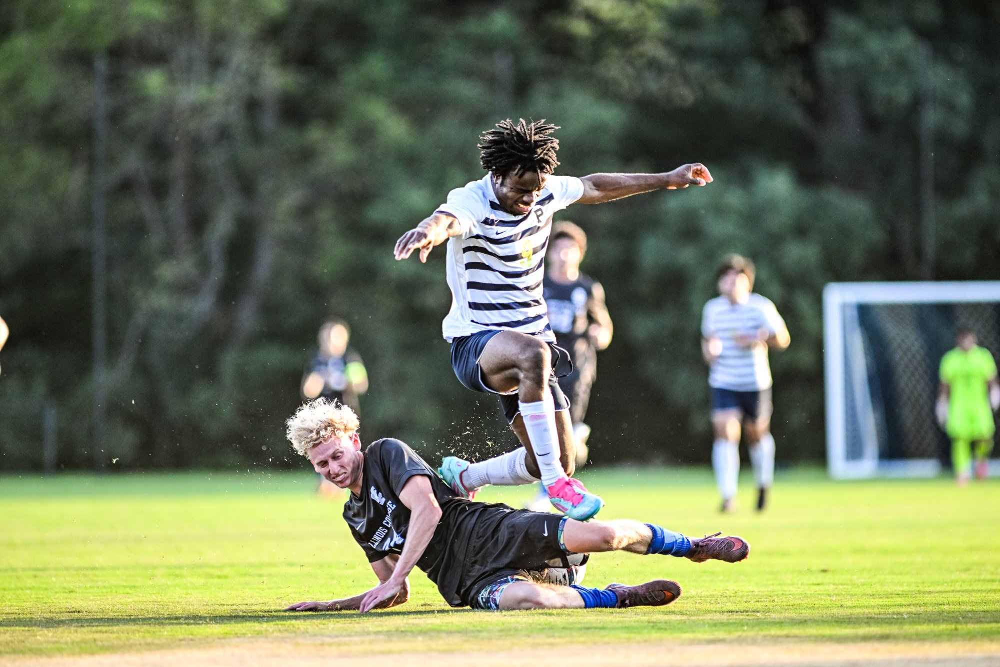 The Best of Fall 2026 Sports