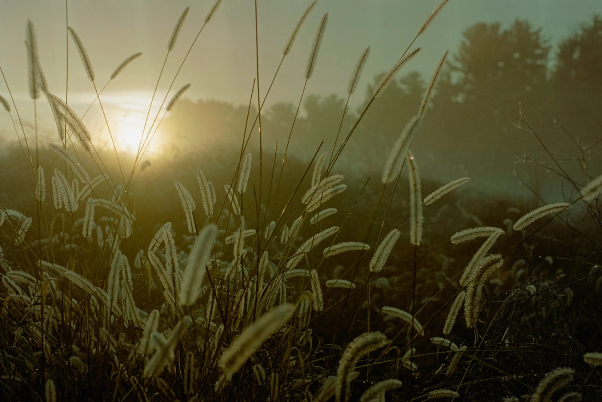 Roll 100 F3-215.jpg