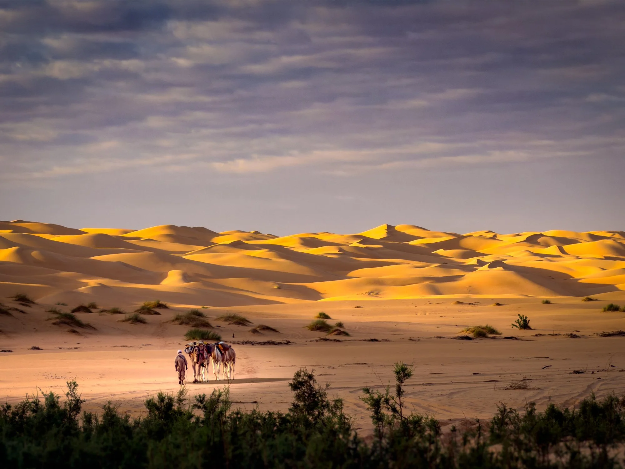 A camel train passing through the Azouega Dunes