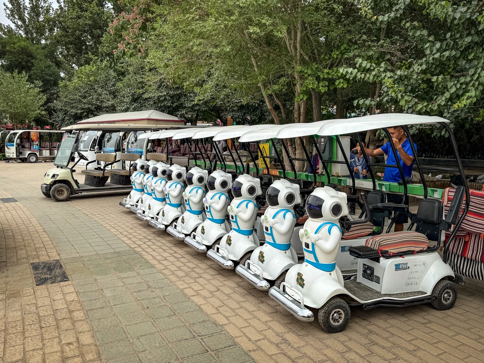 Buggies for hire