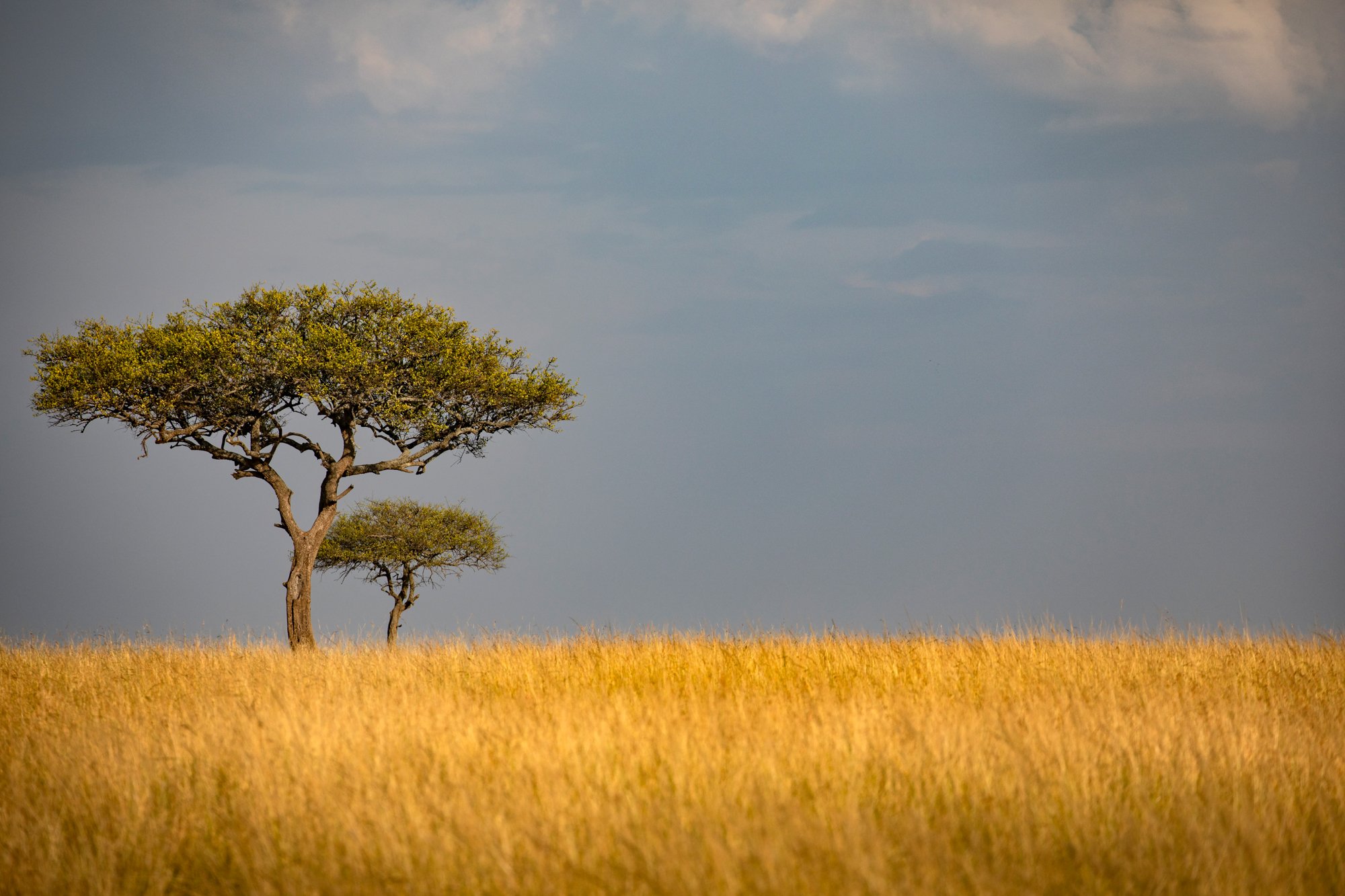 East Africa-9.jpg
