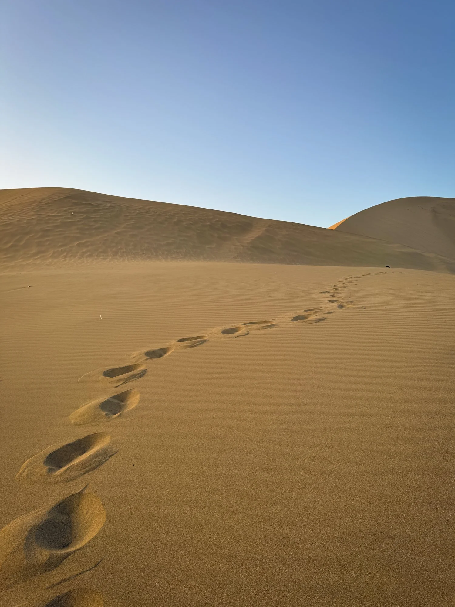 Singing Sands