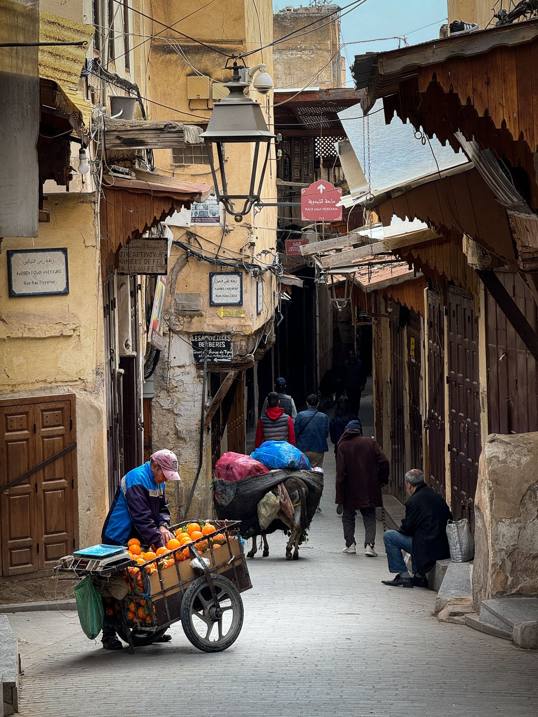 Fez Medina