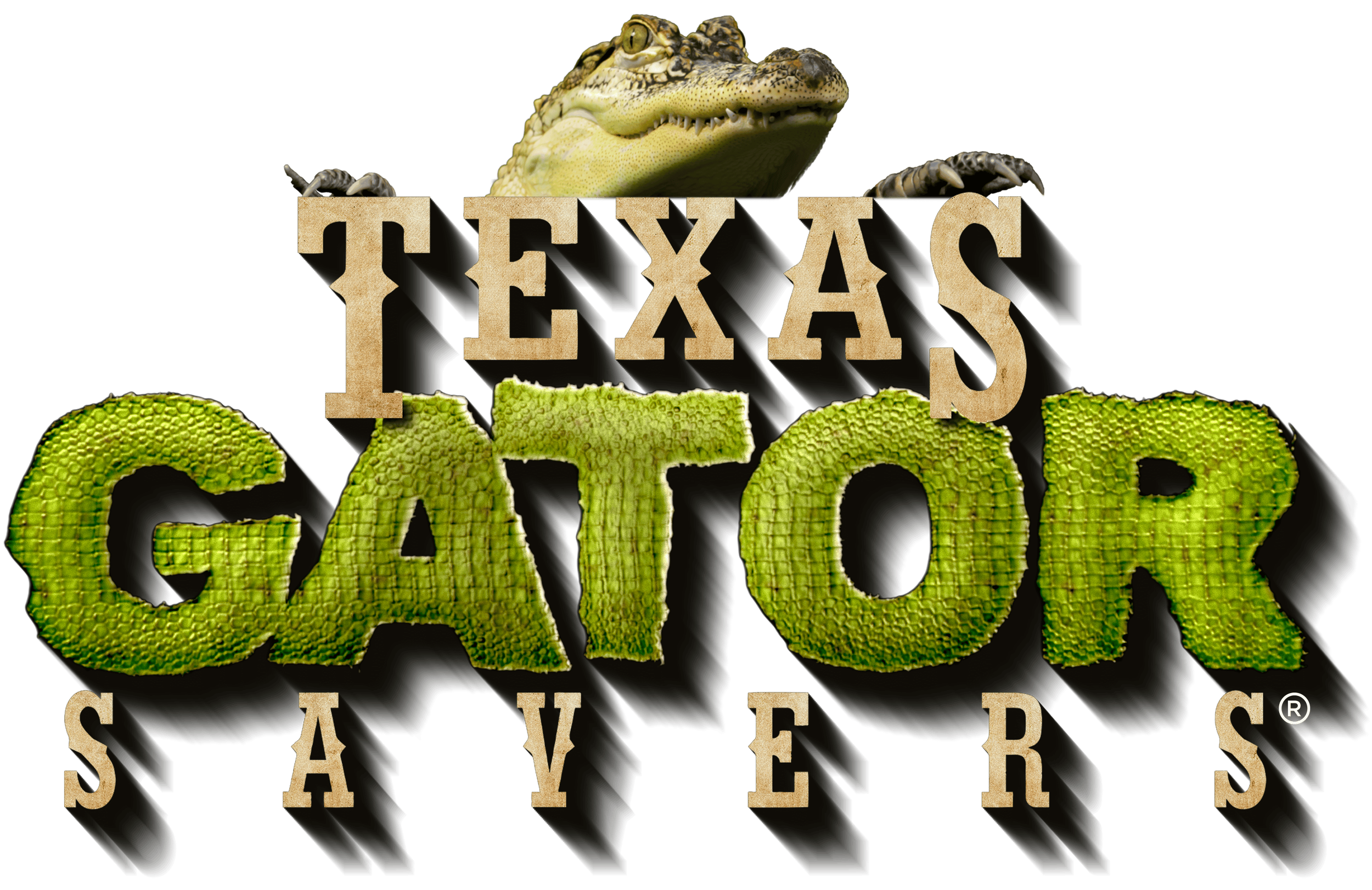 A logo for Texas Gator Singers featuring a crocodile's head above the text, 'TEXAS GATOR SINGERS,' with the words styled in large, textured letters resembling gator skin.
