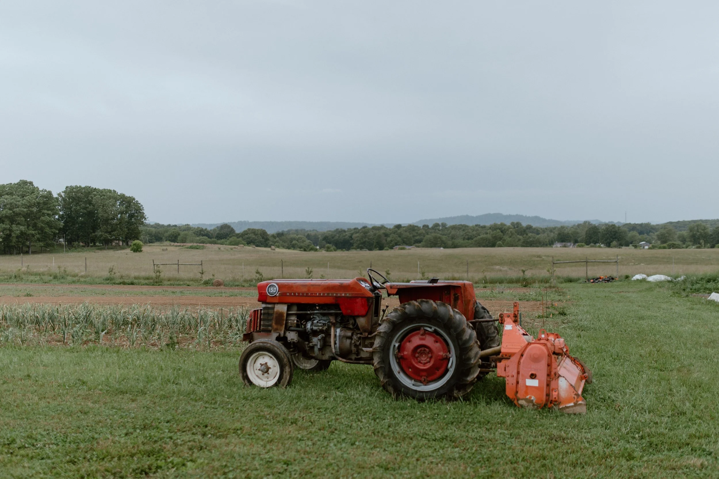 New Roots Community Farm