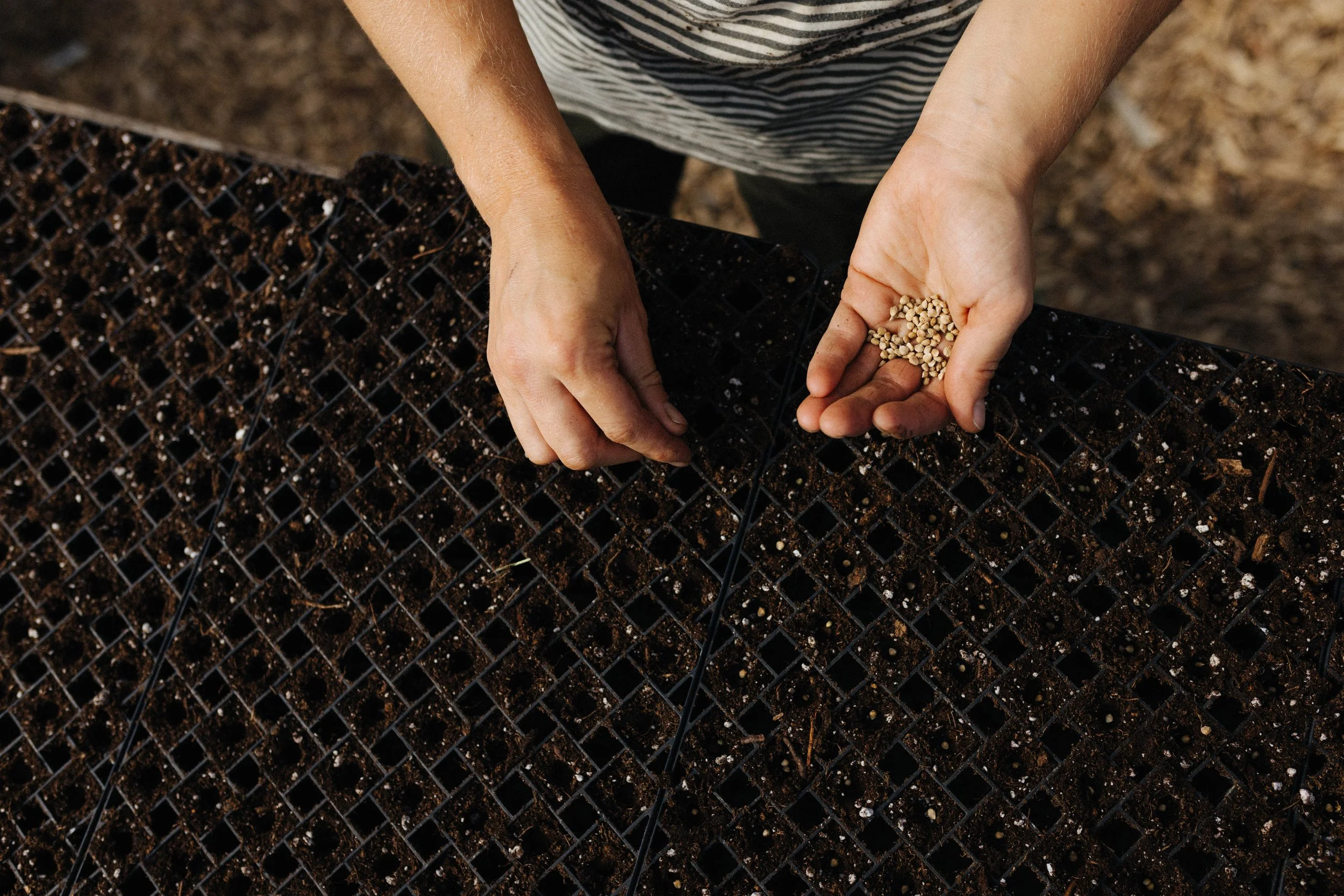 Summer &amp; Winter Vegetable Production workshop