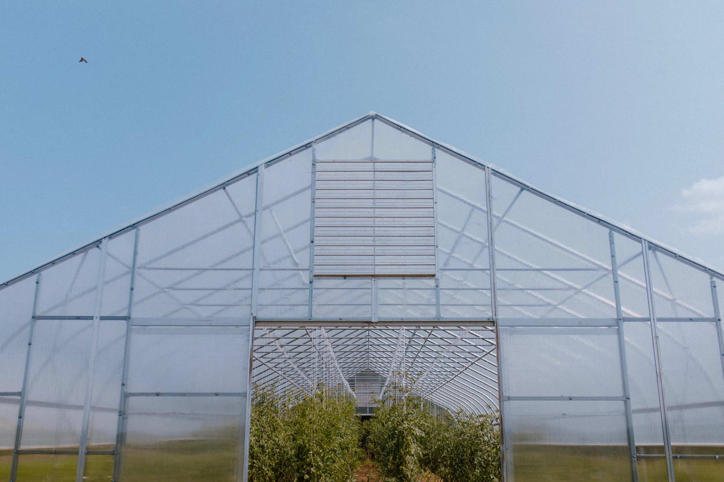 New Roots Community Farm