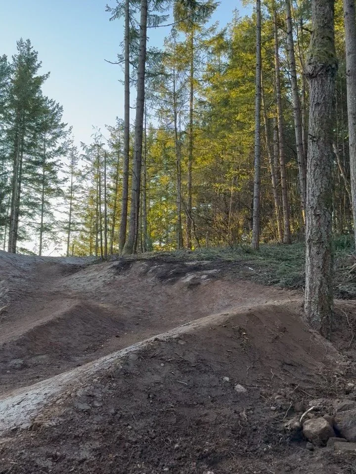 Another backyard project wrapped up. Always fun getting to bring someone&rsquo;s ideas and dreams to reality.  Few days of hauling top soil, removing stumps and now we&rsquo;re here!
#specialized #burgtec #shirebuilt #trailbuilding #pnw @kubotausa @s