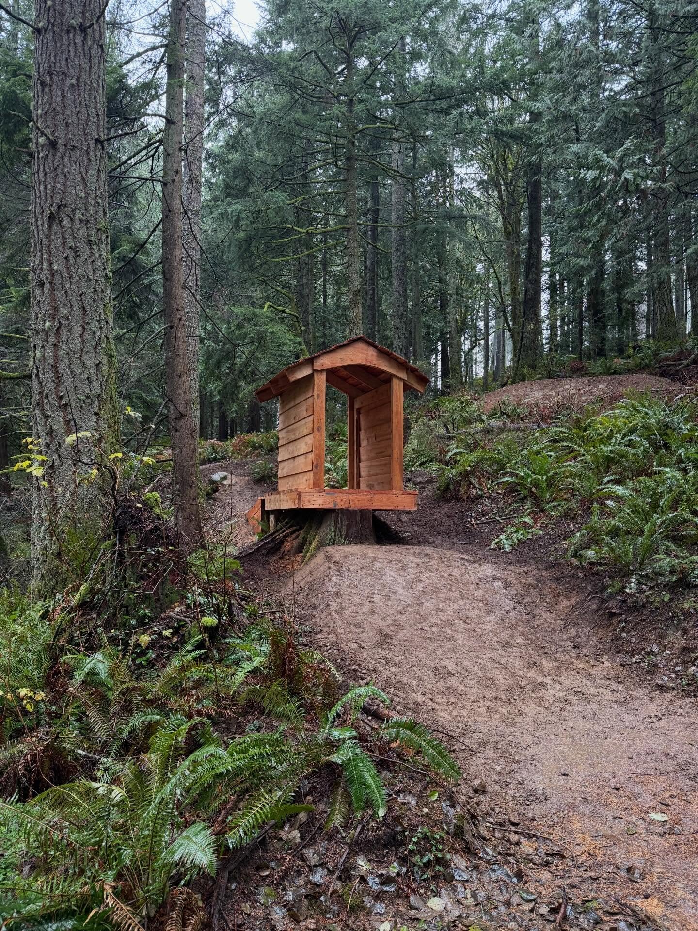 @campfirwood Cabin inspired ladder drop on the blue flow trail. 
#Camp #mtb #ladderdrop