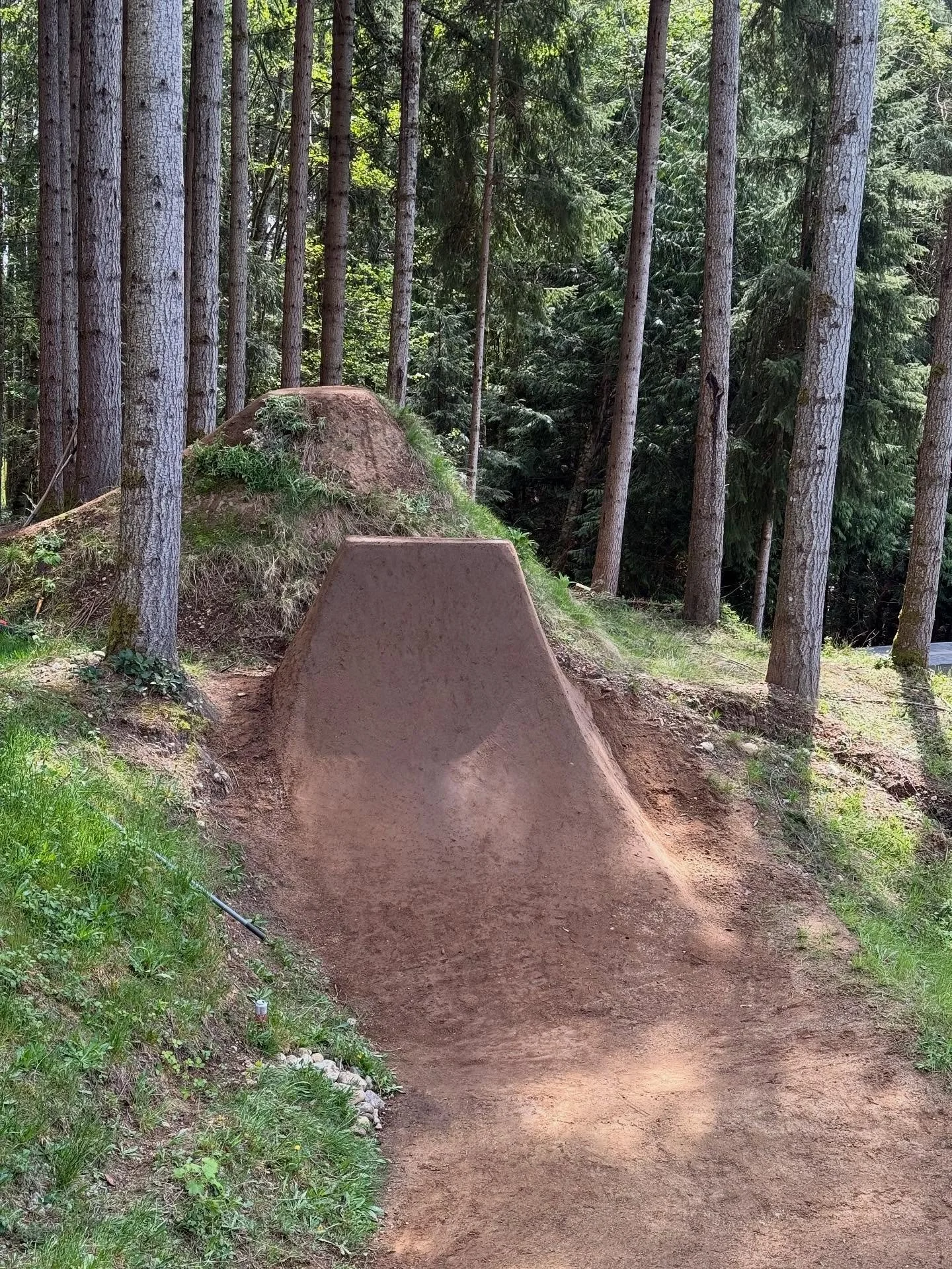 Last month we got up to @brandonsemenuk to help get the yard refreshed with @evan_intern 
Such a epic set up.  Who needs a slope course in their yard?! 🙋&zwj;♂️ #trailbuilding #beforeandafter #trailshark #mtb #shirebuilt #specialized #burgtec #sram