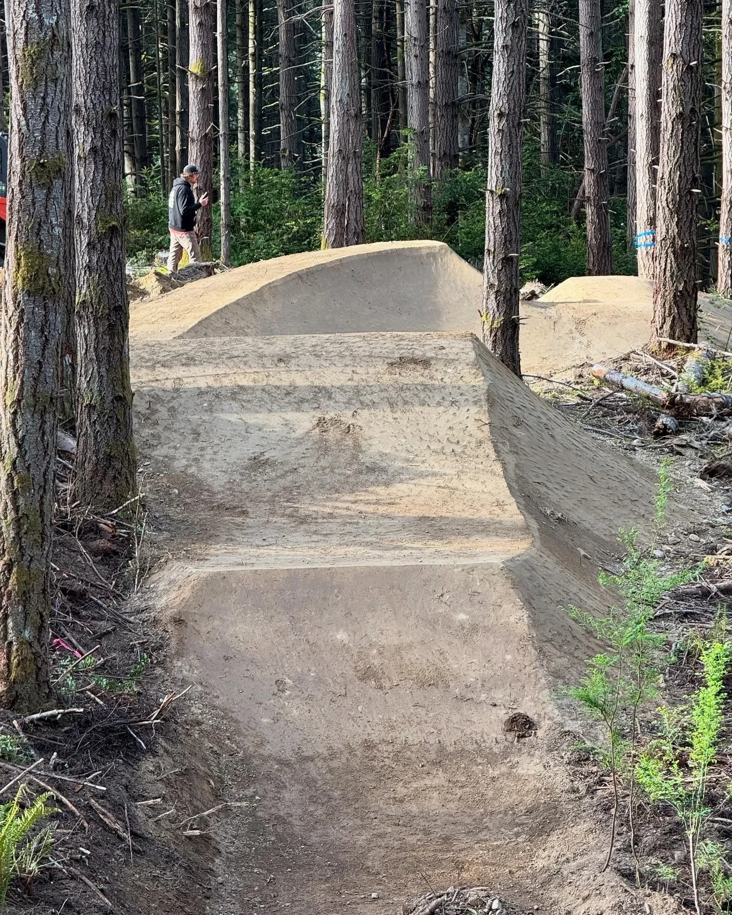 Continuing our way down the black line here at @strawberry_hill_bike_park  Building around where the wood features will go. Looking forward to the forecasted rain to help get some moisture in everything. #bikepark #washington #trailbuilding #sharkfin