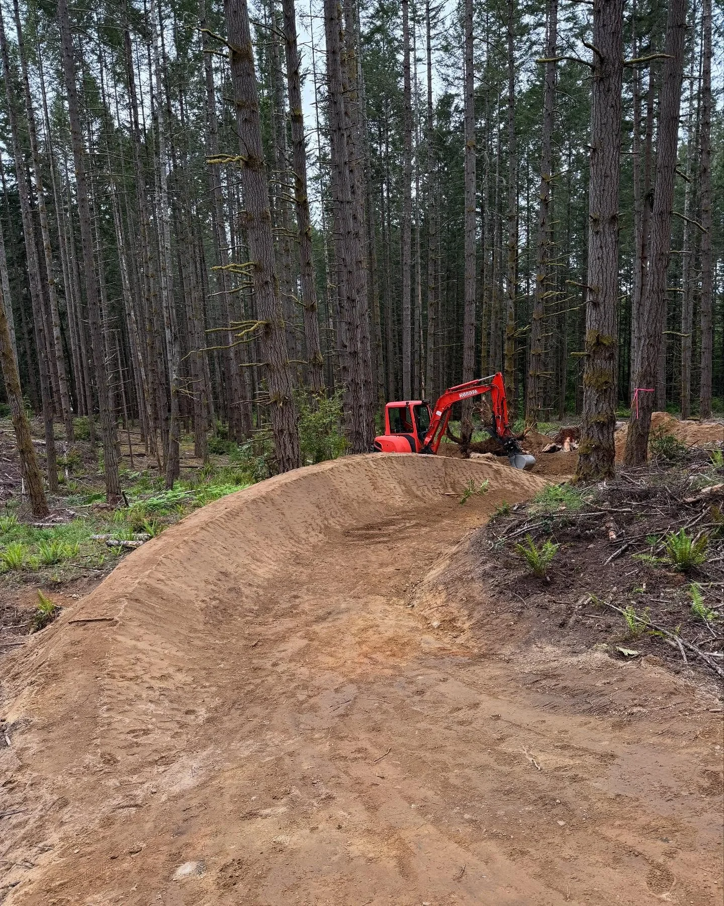Starting our way down the black line this week. Sub contractors will be doing the big ladder bridges while we do all the dirt work down the hill. Should be a fun fast line once completed. Stay tuned. @strawberry_hill_bike_park #bainbridgeisland #newb