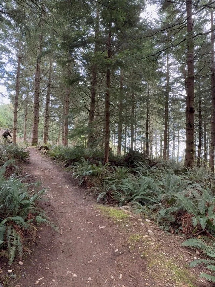 Jibbing around double vision  @scottybhamx @spencerbhamx #doublevision #shirebuilt #galbraith #jibbin #burgtec