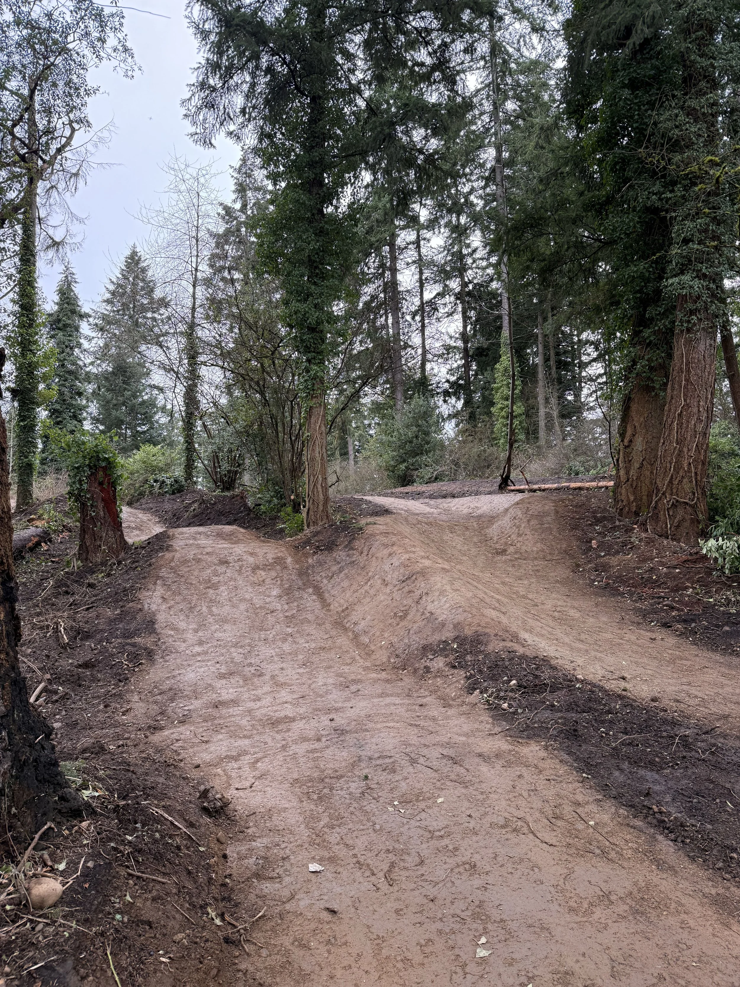 Wards Lake Park Bike Park