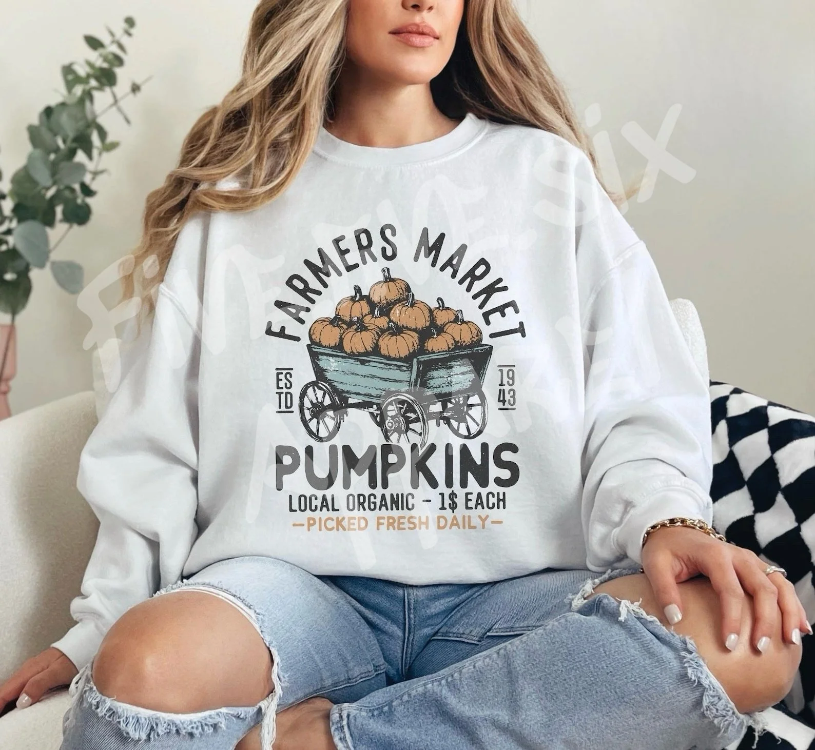 Farmers Market Pumpkins