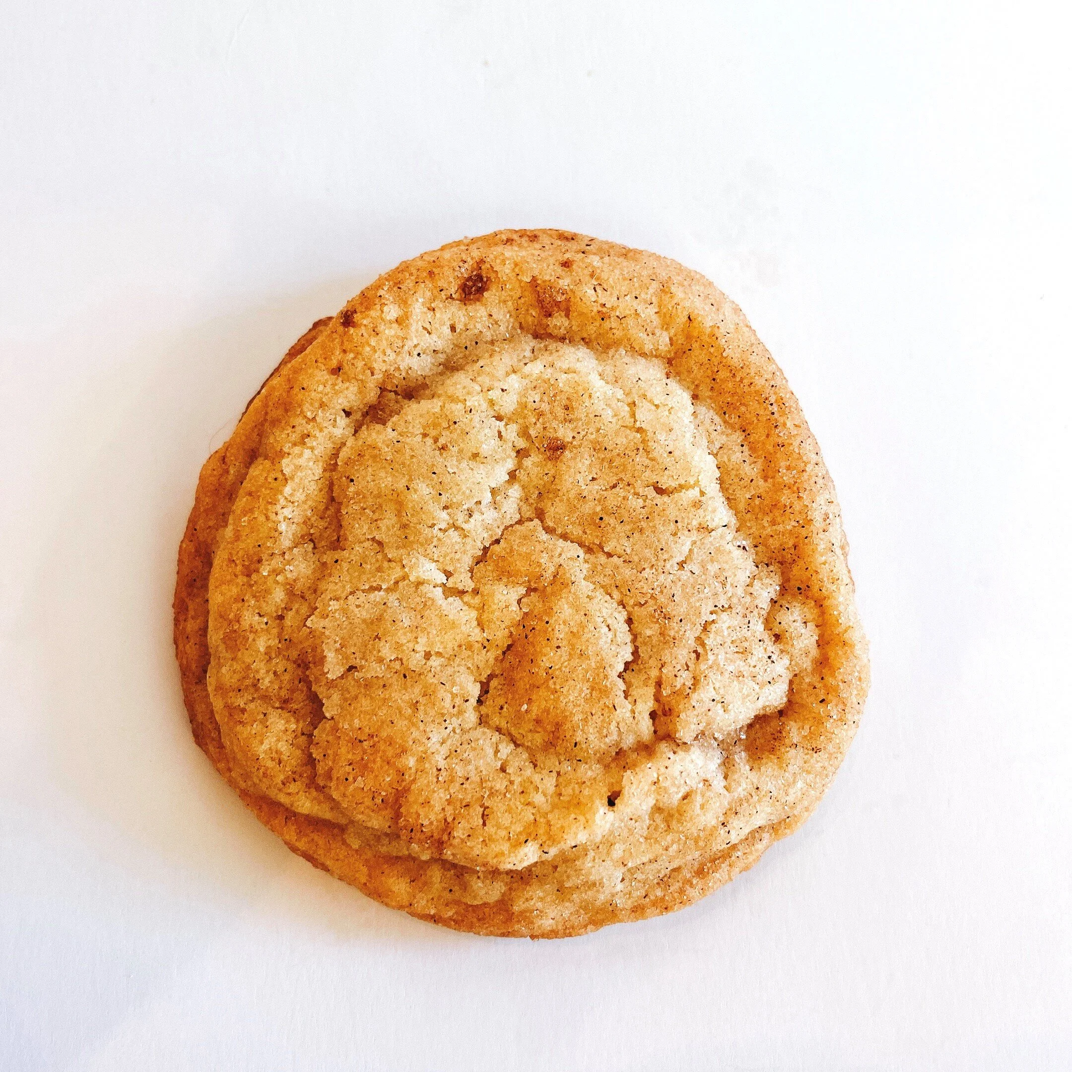 Snickerdoodle.jpg