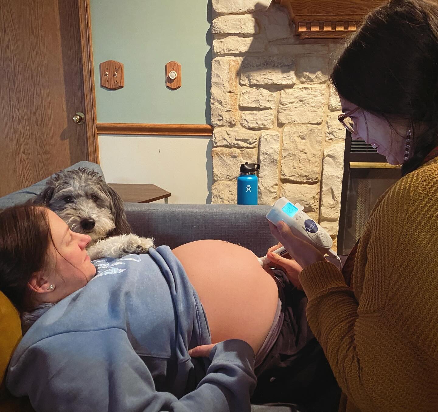 we spy a sweet little pupper who was very interested in our home visit yesterday! we suspect he will make a great doggy doula very soon. &hearts;️