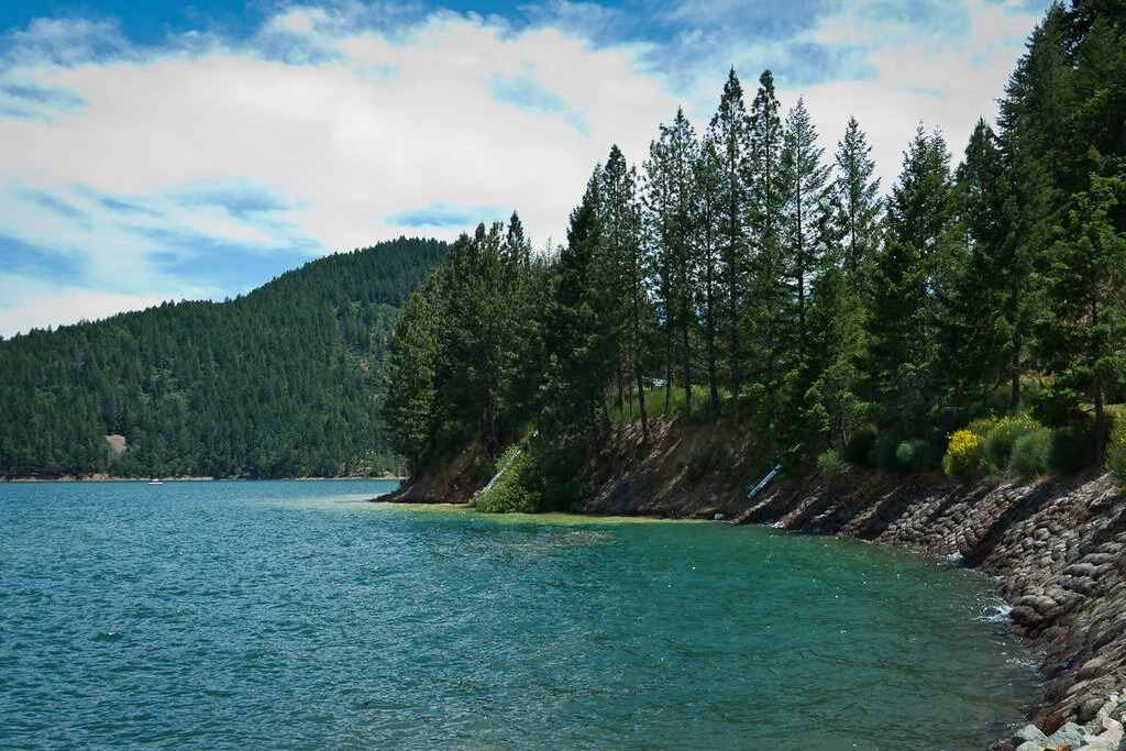 Shasta Trinity Camping