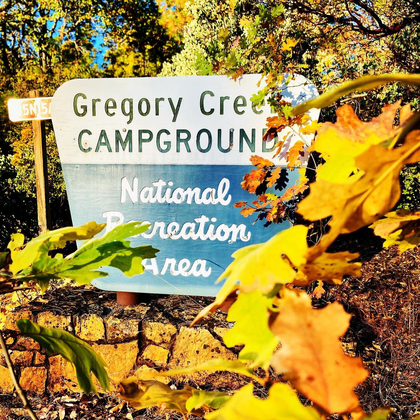 Who&rsquo;s looking forward to 2021? 

Gregory Creek Group Campground in fall colors. 

#camping #fall #colors #gregorycreek #shastalake #family #fun #smores #swimming #summer #destination #vacation #2021 #newyear
