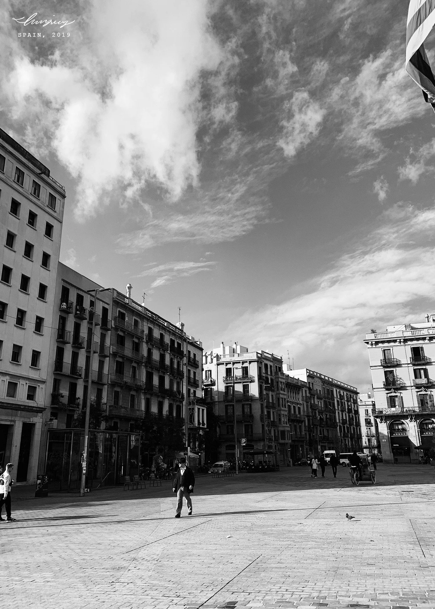 Spain #5