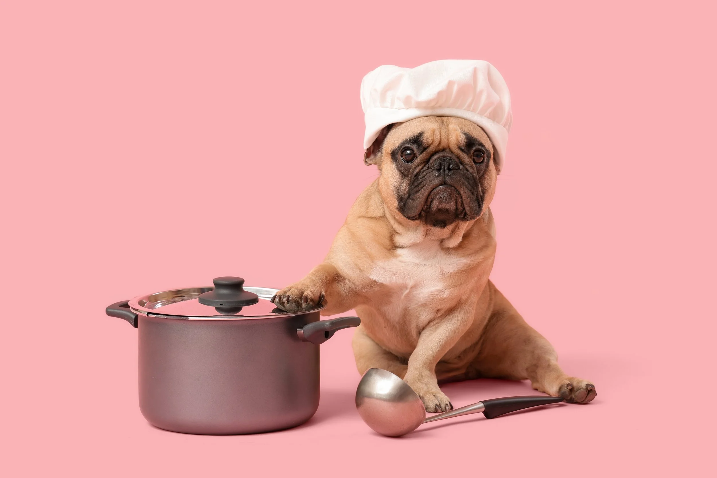  Now Hiring! Part-Time Cook