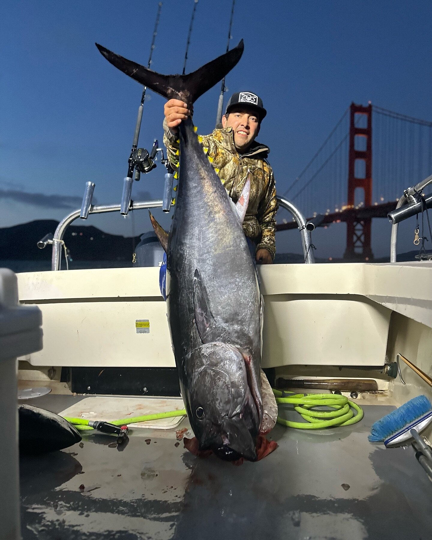 The bluefin are here and we are ready to roll! As of now next Tuesday and Wednesday April 2,3 look good for weather if your interested call Capt. Charlie (925) 330-2424 or send us a message! #goldenstateguideservice #scallywag #bluefintuna #tuna #fis