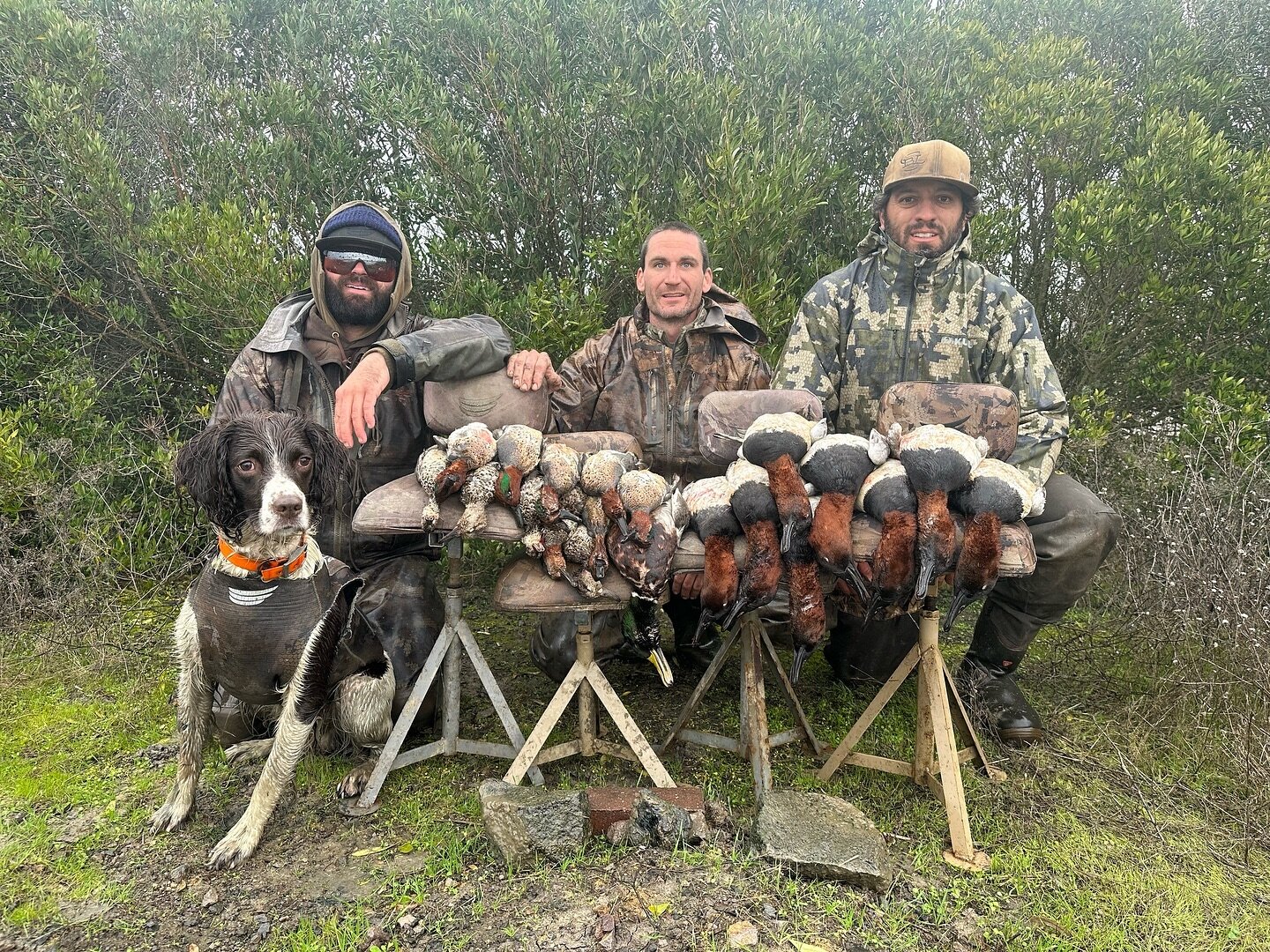 🏴&zwj;☠️THATS A WRAP🏴&zwj;☠️
Just like that Duck Season 23/24 is over!!! 
Better get on the books for next season!!!! 
#goldenstateguideservice #duckhunting #hunting