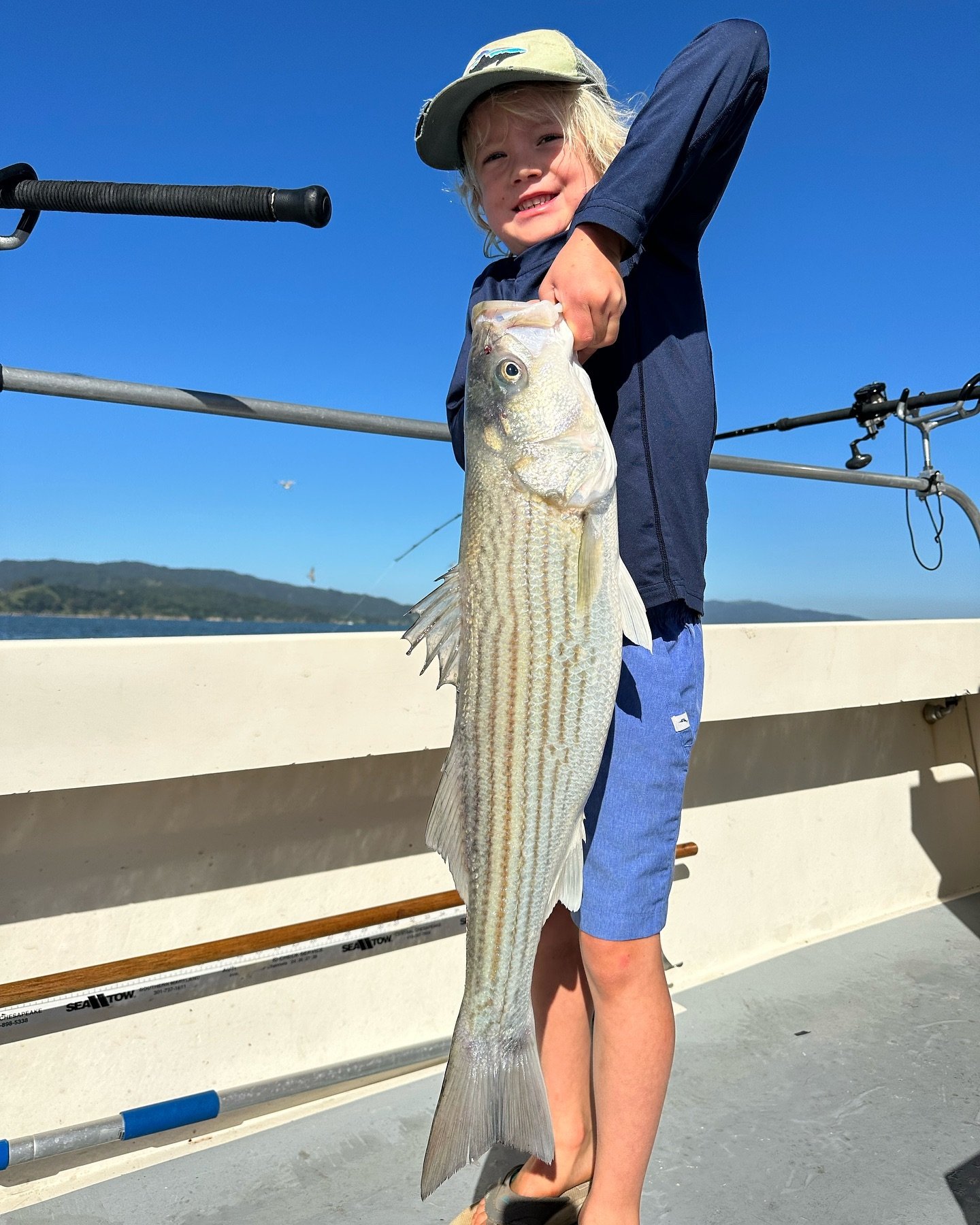 This kid comes out every year and always catches something big! Today he got and big old striped bass and two nice halibut! #goldenstateguideservice #scallywag #fishemeryville